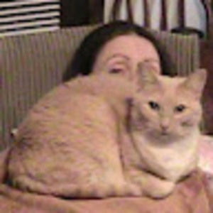 Meet your Posher, Ginger